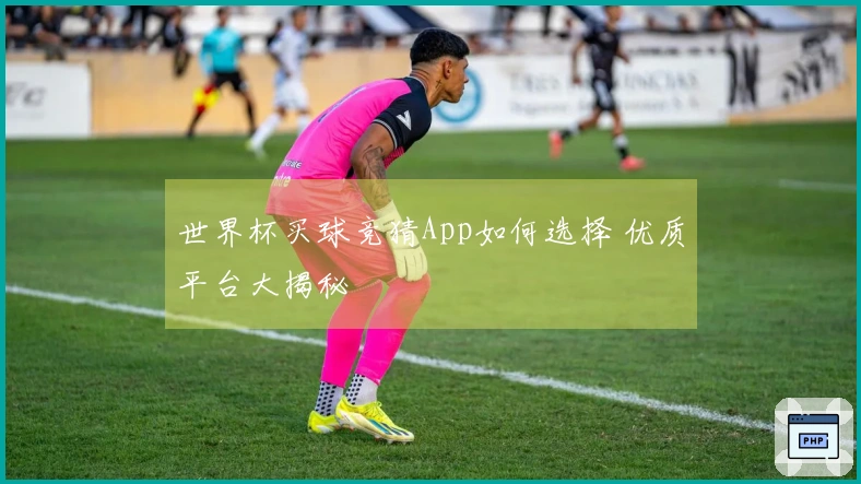 世界杯买球竞猜App如何选择 优质平台大揭秘