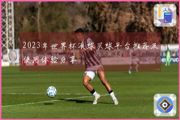 2023年世界杯滚球买球平台推荐及使用体验分享