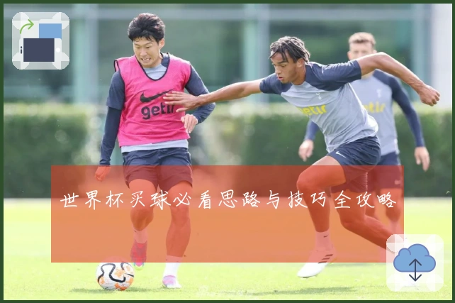 世界杯买球必看思路与技巧全攻略