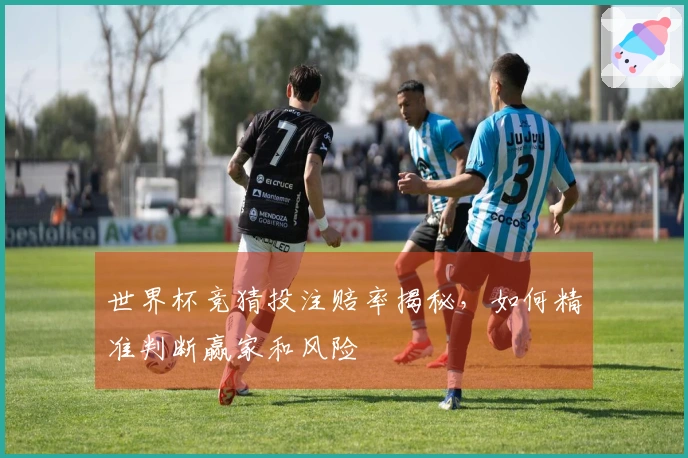 世界杯竞猜投注赔率揭秘，如何精准判断赢家和风险