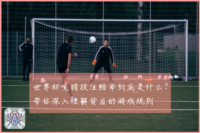 世界杯竞猜投注赔率到底是什么？带你深入理解背后的游戏规则