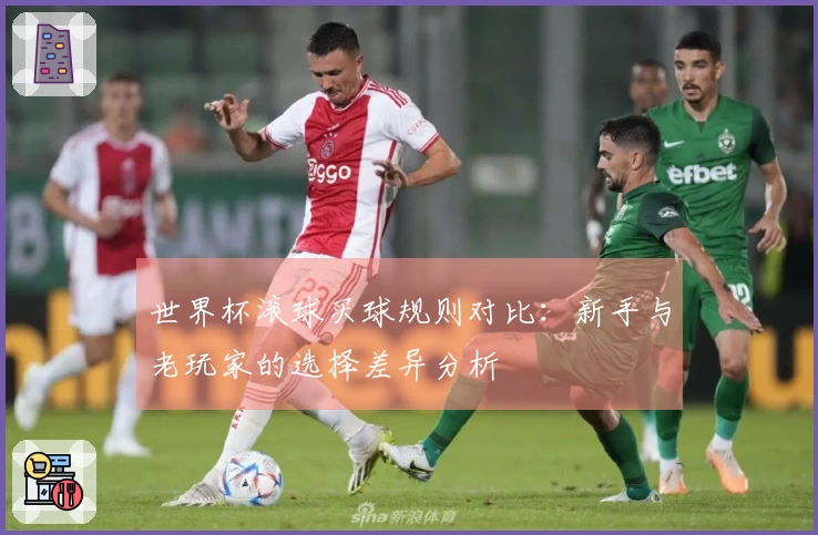 世界杯滚球买球规则对比：新手与老玩家的选择差异分析