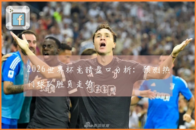 2026世界杯竞猜盘口分析：预测热门球队胜负走势