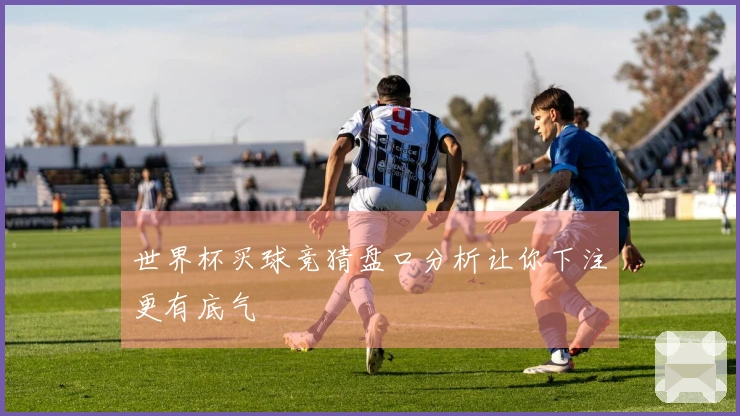 世界杯买球竞猜盘口分析让你下注更有底气