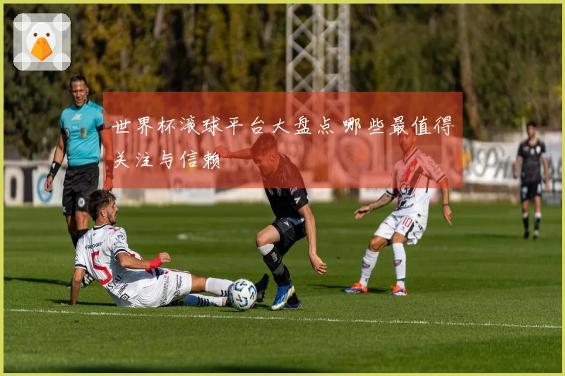 世界杯滚球平台大盘点 哪些最值得关注与信赖