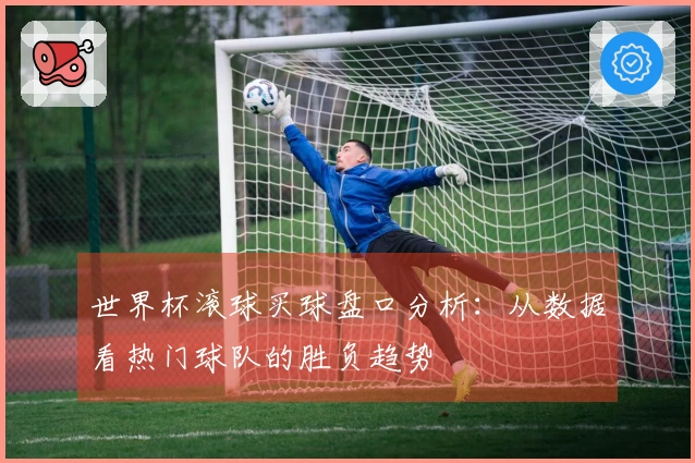 世界杯滚球买球盘口分析：从数据看热门球队的胜负趋势