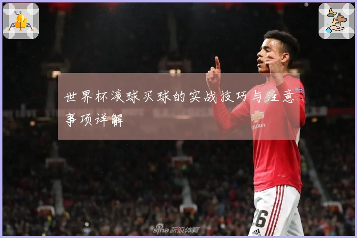 世界杯滚球买球的实战技巧与注意事项详解