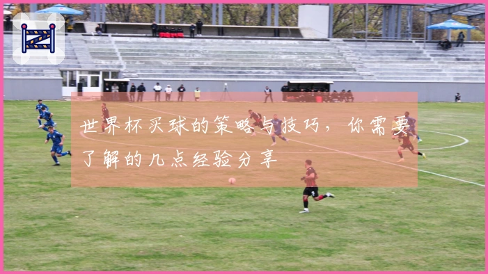 世界杯买球的策略与技巧，你需要了解的几点经验分享