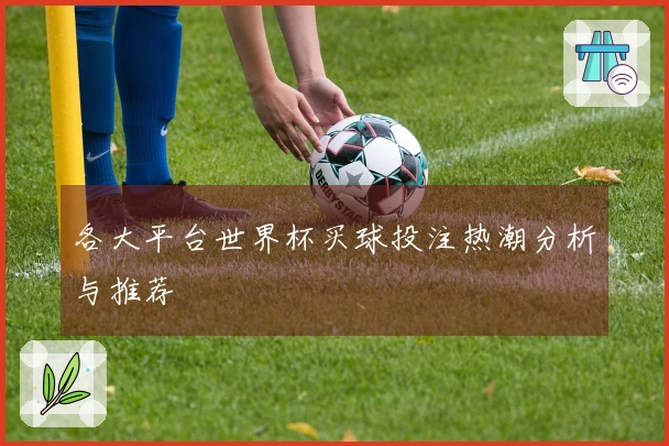 各大平台世界杯买球投注热潮分析与推荐