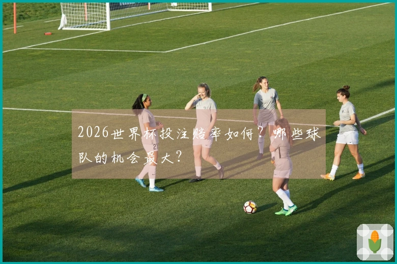 2026世界杯投注赔率如何？哪些球队的机会最大？
