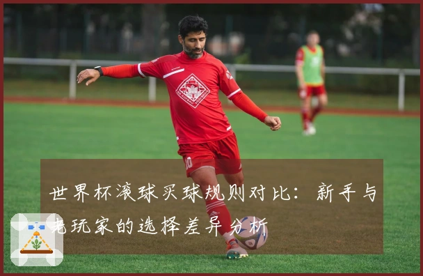 世界杯滚球买球规则对比：新手与老玩家的选择差异分析