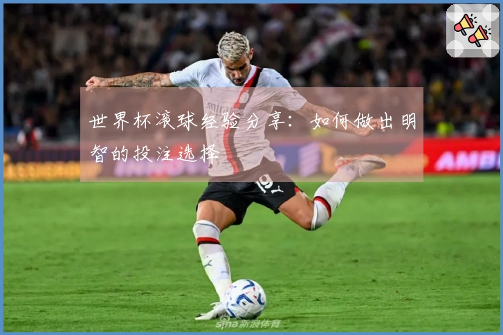 世界杯滚球经验分享：如何做出明智的投注选择