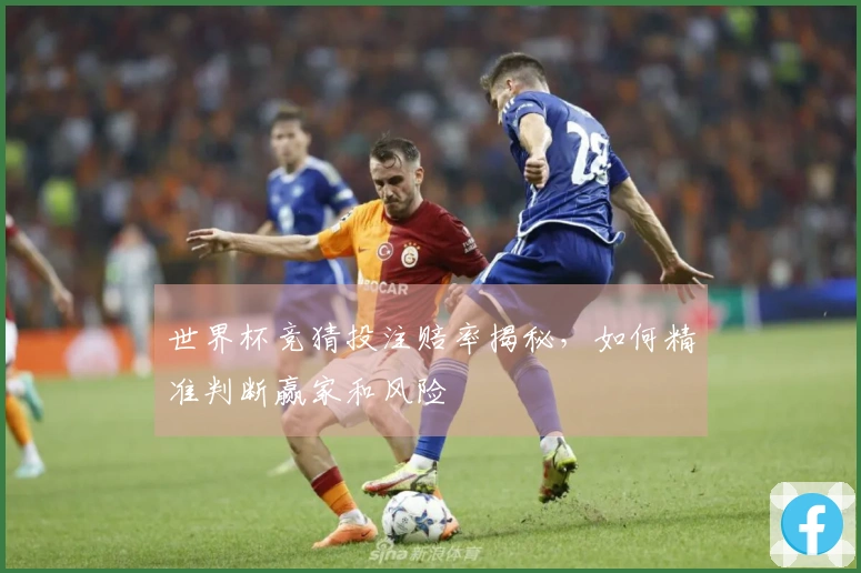 世界杯竞猜投注赔率揭秘，如何精准判断赢家和风险