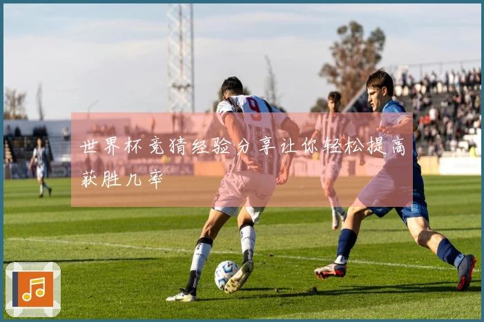 世界杯竞猜经验分享让你轻松提高获胜几率